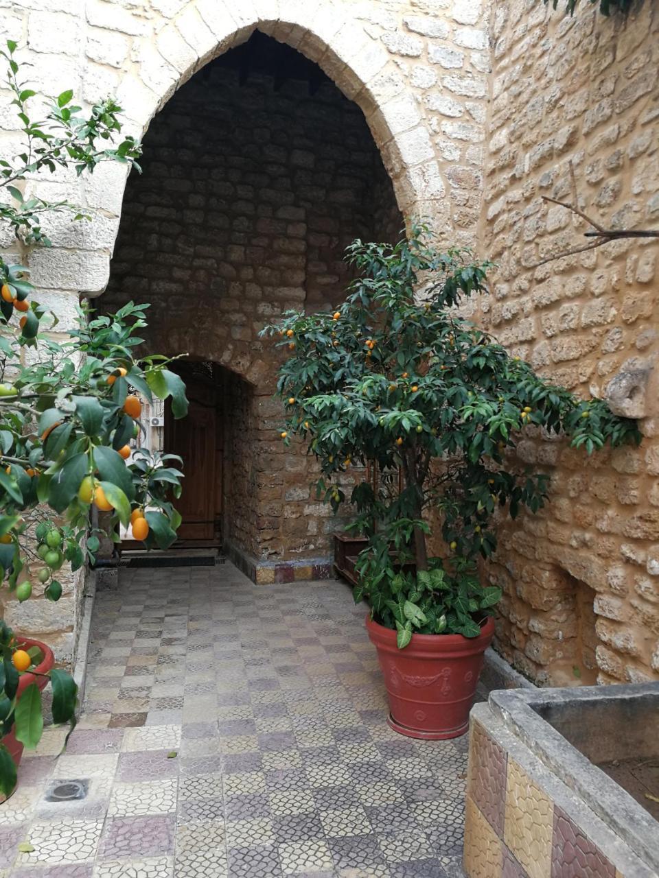 Dar Camelia Bed & Breakfast ไทร์ ภายนอก รูปภาพ
